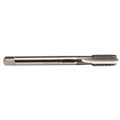 A0101001.4045.jpg