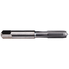 AU109101.5007.jpg