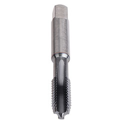 AU109101.5010.jpg