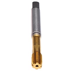 B5316A00.0060.jpg