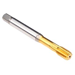 B5316A00.0060.jpg
