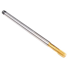 B555Z700.0080.jpg