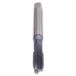 BU109101.5003.jpg