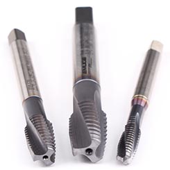BU309600.5663.jpg