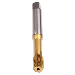 BU38P300.5043.jpg