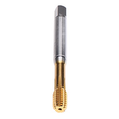 BU446A00.5010.jpg