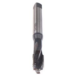BU456011.5037.jpg