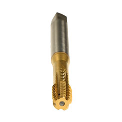 BW10F000.5009.jpg