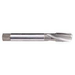 C0461000.0331.jpg