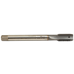 C1069101.0116.jpg