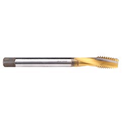 C4253701.0114.jpg
