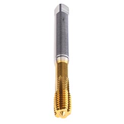 C521W700.0116.jpg