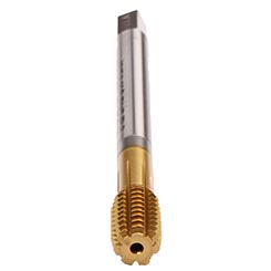 CU37P300.5013.jpg