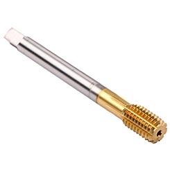 CU37P300.5013.jpg