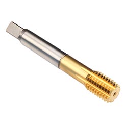 CU39A800.5046.jpg