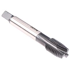 CU497300.5051.jpg