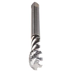 CU513500.5047.jpg