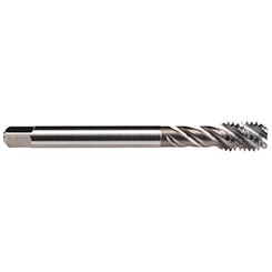 CU513500.5048.jpg