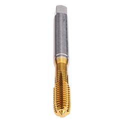 CU93F300.5665.jpg