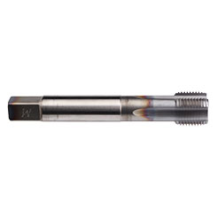 CU969401.5017.jpg