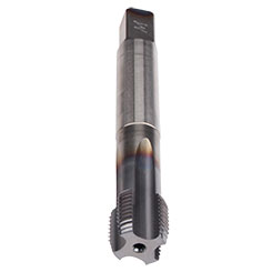 CU969401.5018.jpg