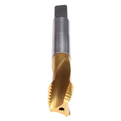 CU973701.5047.jpg