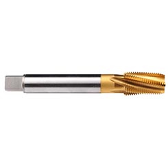 CW483100.5767.jpg