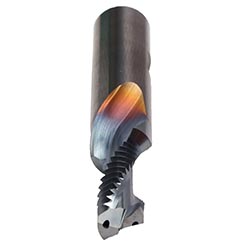 GF432206.5009.jpg