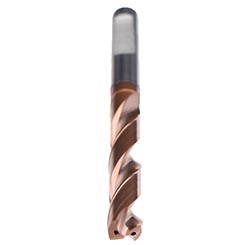 TA514524.0833.jpg